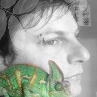 David Deutsch Photo 30