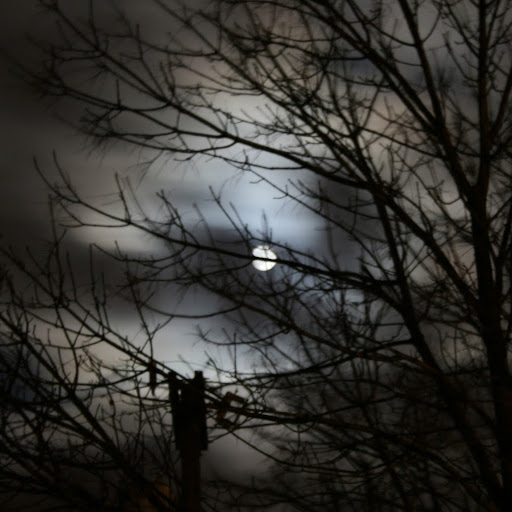 Sam Rowland Photo 9