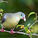 Bill Green Photo 45