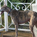 Terry Scurry Photo 3