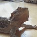 Ray Bell Photo 10