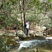 Carolyn Cross Photo 10