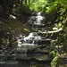 John Thatcher Photo 26