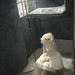 Jennifer Pugh Photo 18