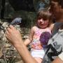 Sarah Riddle Photo 27