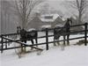 John Derose Photo 30