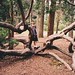 Katherine Gage Photo 16