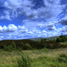 James Haworth Photo 41