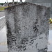 Thomas Knowles Photo 20