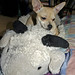 Oscar Meadows Photo 8