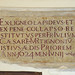 Ann Sasso Photo 13