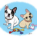 Colleen Butler Photo 15