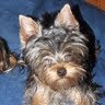 Nancy Madsen Photo 22