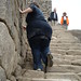 Shelly Wall Photo 15