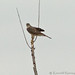 Kenneth Sharp Photo 16