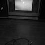 Brian Harker Photo 19