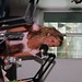 Amy Dalley Photo 15