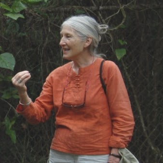 Mary Andrews Photo 22