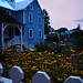 Susan Downs Photo 41