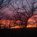 Judy Barnhart Photo 19