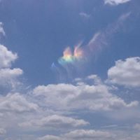 Brenda Mcwhorter Photo 13