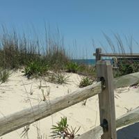 Carolyn Lane Photo 33