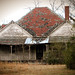 Sandy Cross Photo 24