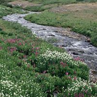 John Olmsted Photo 26