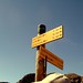 Robert Rando Photo 19