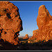 Arch Davis Photo 8