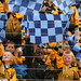 Mark Nowlan Photo 6