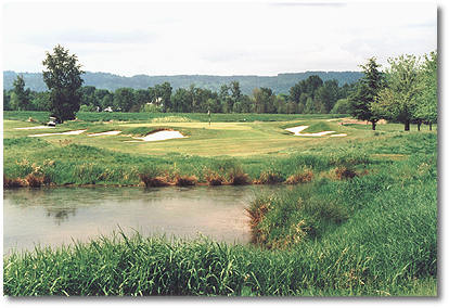 Ron Gross Photo 29