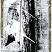 Brandy Roberts Photo 17