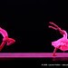 Susan Corbin Photo 15