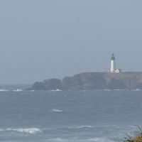 Shelly Wilson Photo 13