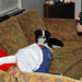 Jared Bruce Photo 15