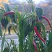 Vickie Plant Photo 4