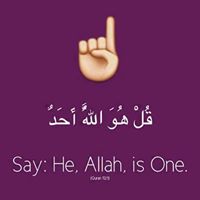Mohammad Ansari Photo 27