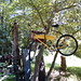 Randy Workman Photo 17