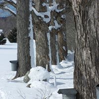 Deborah Locke Photo 22