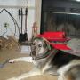 Donna Agee Photo 10