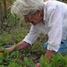 Anne Berry Photo 22