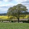 Edward Fram Photo 2