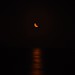 Martha Moon Photo 34