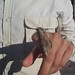 Jeff Hermann Photo 10