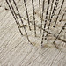 Brian Block Photo 35