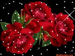 Aurea Rodriguez Photo 32