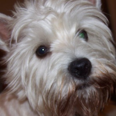 Cherie Watson Photo 13