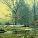 Theodore Clement Photo 12