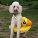 Connie Pond Photo 7